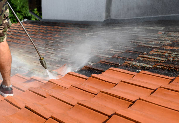 Pressure Washing Contractors in Charlottesville, VA